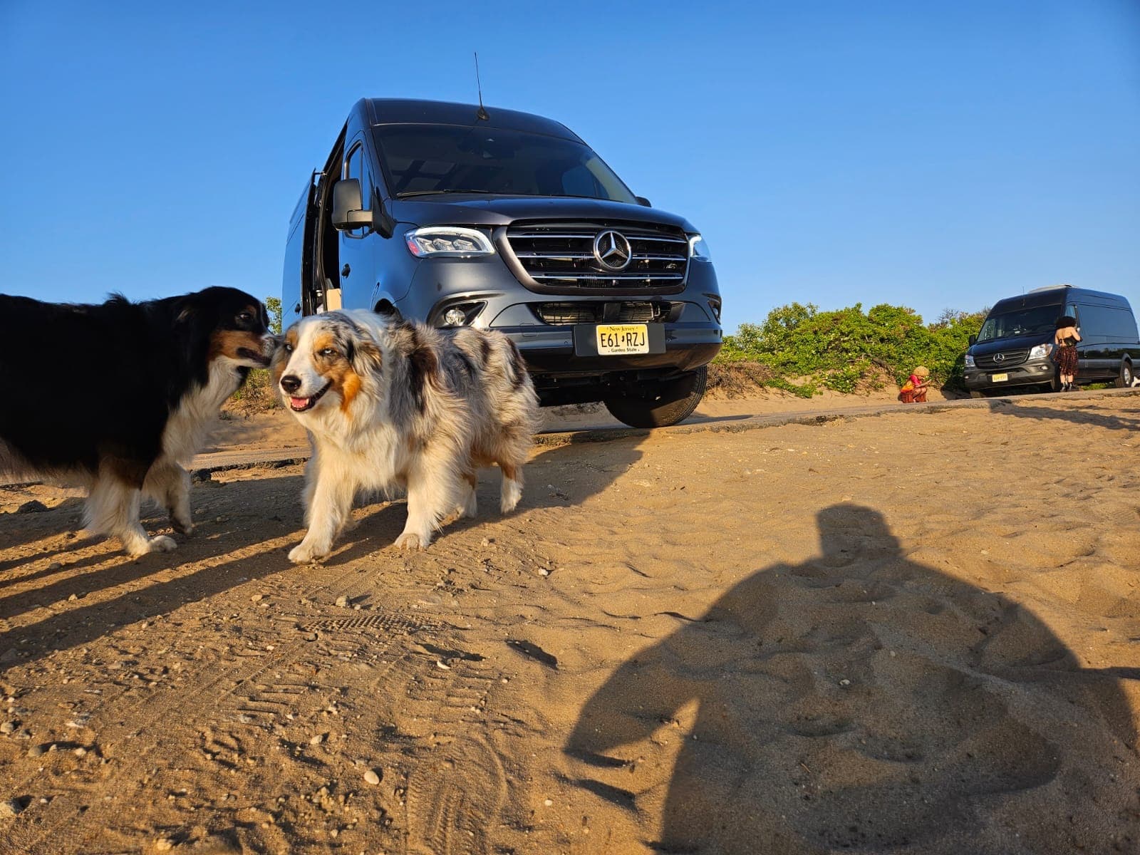 Luna gallery image 8