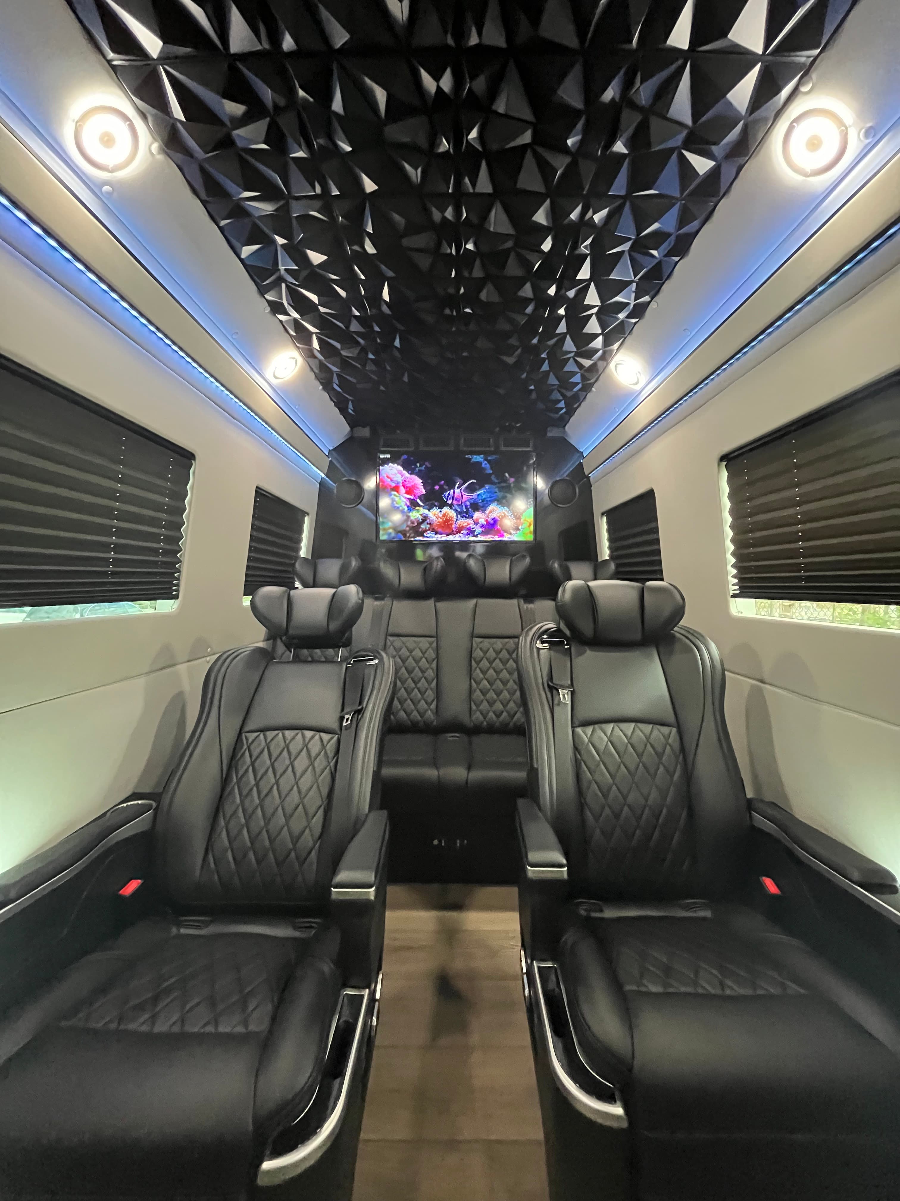 Olaf Premium 10-Passenger Mercedes-Benz Sprinter van
